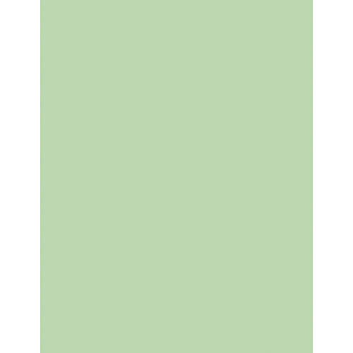 Sparco Premium Copy Paper - Green Letter - 8 1/2" x 11" - 20 lb Basis Weight - Sustainable Forestry Initiative (SFI) - Lint-free, Acid-free, Archival-safe - Green - 500 / Ream (05123)