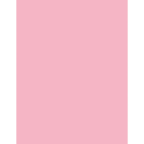Sparco Premium Copy Paper - Pink Letter - 8 1/2" x 11" - 20 lb Basis Weight - Sustainable Forestry Initiative (SFI) - Lint-free, Archival-safe, Acid-free - Pink - 500 / Ream (05124)