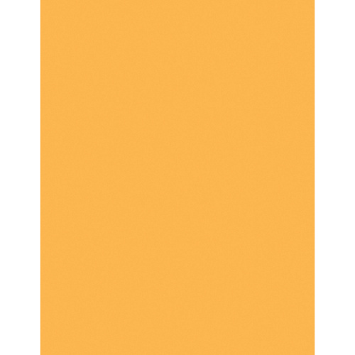 Sparco Premium Copy Paper - Goldenrod Letter - 8 1/2" x 11" - 20 lb Basis Weight - Sustainable Forestry Initiative (SFI) - Lint-free, Archival-safe, Acid-free - Goldenrod - 500 / Ream (05125)