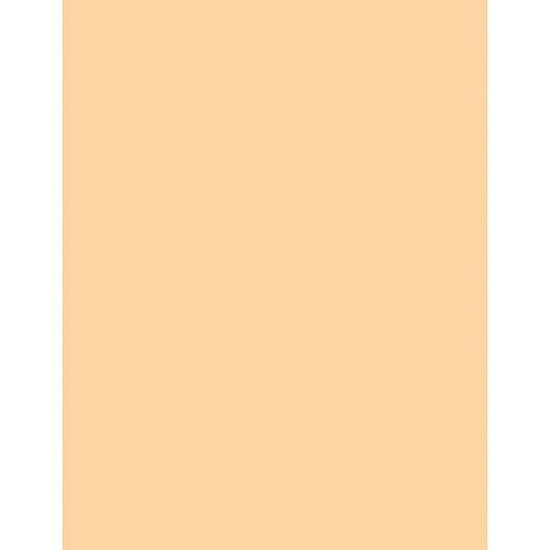 Sparco Premium Copy Paper - Ivory Letter - 8 1/2" x 11" - 20 lb Basis Weight - Sustainable Forestry Initiative (SFI) - Lint-free, Acid-free, Archival-safe - Ivory - 500 / Ream (05127)