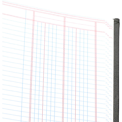Wilson Jones 74100 2-Column Account Book 40 Sheet(s) - Sewn Bound - 7" x 9.25" Form Size - 9.50" x 7" Sheet Size - 2 Columns per Sheet - White Sheet(s) - Red, Blue Print Color - Black, Gold Cover - 1 Each (74102)