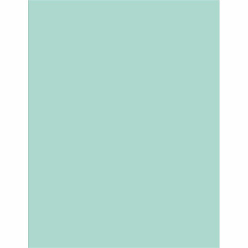 Sparco Premium Grade Pastel Color Copy Paper (05121CT)