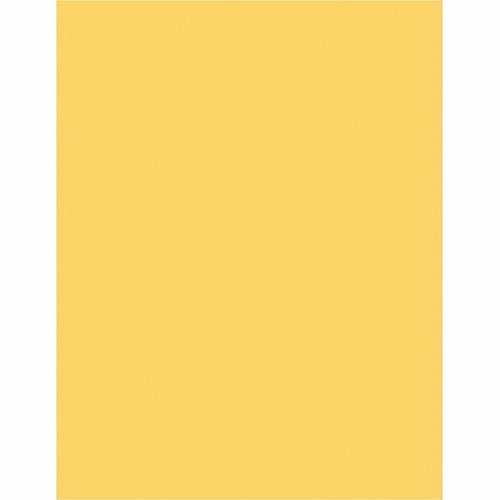 Sparco Premium Grade Pastel Color Copy Paper (05122CT)