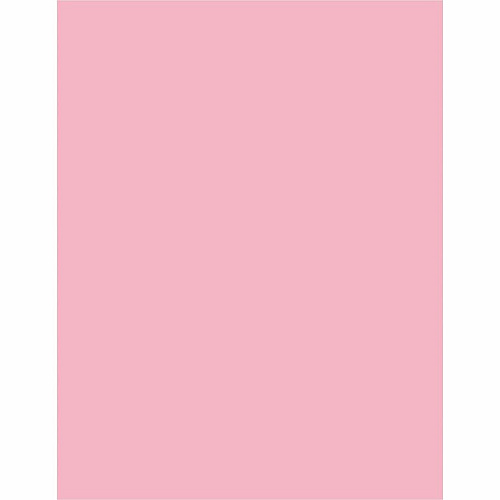 Sparco Premium Grade Pastel Color Copy Paper (05124CT)