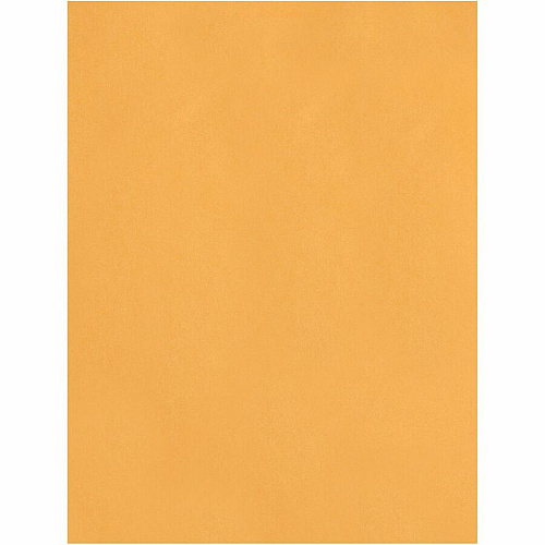 Quality Park 11-1/2 x 14-1/2 Heavyweight Catalog Mailing Envelopes (41865)