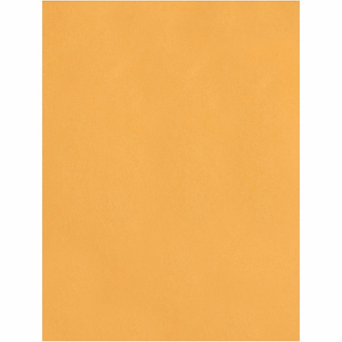 Quality Park 11-1/2 x 14-1/2 Heavyweight Catalog Mailing Envelopes (41865)