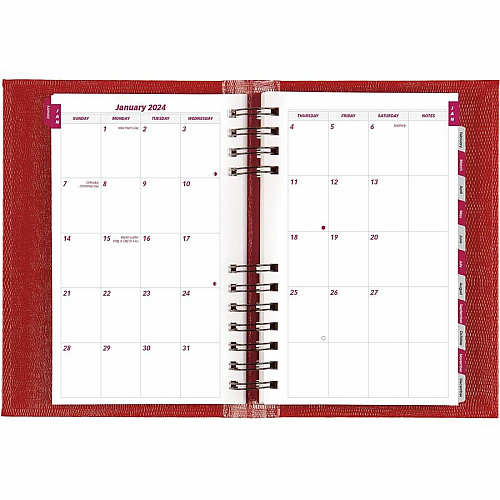 Blueline Brownline Coilpro Daily Appointment Planner (CB634CRED)
