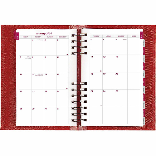 Blueline Brownline Coilpro Daily Appointment Planner (CB634CRED)