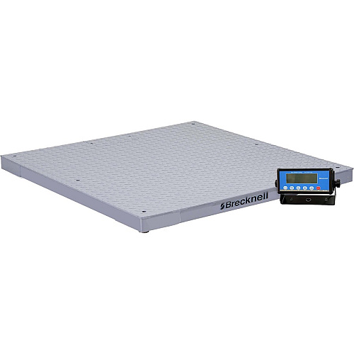 Brecknell Pegasus DCSB4848-05 Floor Scale