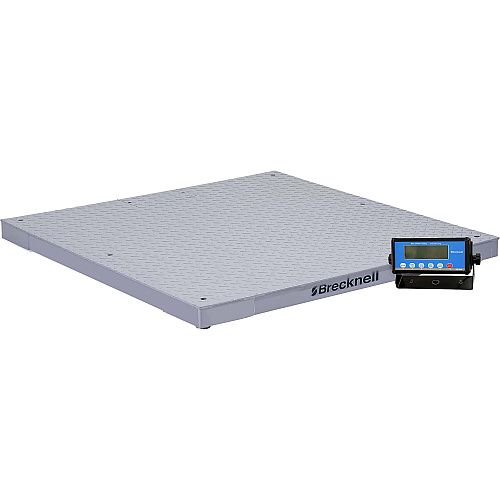 Brecknell Pegasus DCSB4848-05 Floor Scale
