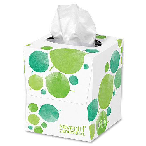 Seventh Generation 100% Recycled Facial Tissues 2 Ply - White - Paper - 85 / Box (13719)