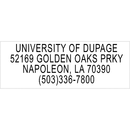 Sparco Return Address Stamp Custom Message Stamp - 0.50" Impression Width x 1.63" Impression Length - Blue - 1 Each (CS60458)