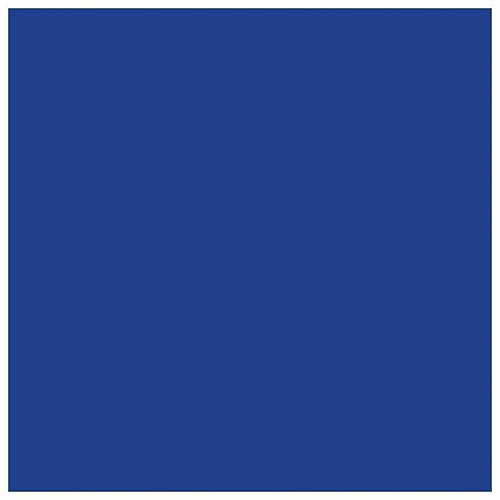 Pilot G2 Retractable Gel Ink Rollerball Pens 0.5 mm Fine Pen Point - Refillable - Retractable - Blue Ink - Gel-based - 2 / Pack (31015)
