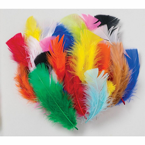 Creativity Street Plumage 1oz Feathers Craft - Assorted - 1 Pack (4502)