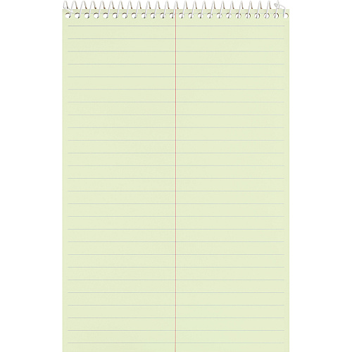 Business Source Steno Notebook 60 Sheets - Coilock - Gregg Ruled Margin - 6" x 9" Sheet Size - Green Tint Paper - Stiff-back, Sturdy - 1 Each (BSN90650)