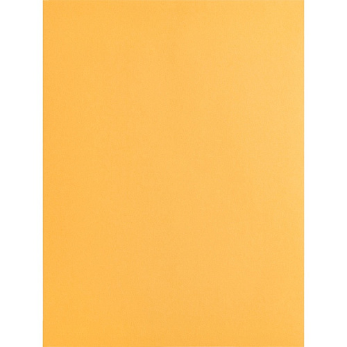 Business Source Kraft Gummed Catalog Envelopes Catalog - #10 1/2 - 9" Width x 12" Length - 28 lb - Gummed - Kraft - Kraft - 250 / Box (BSN42100)