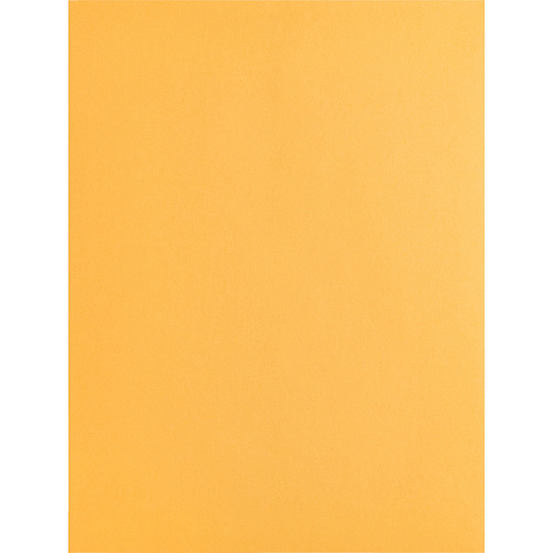 Business Source Kraft Gummed Catalog Envelopes Catalog - #10 1/2 - 9" Width x 12" Length - 28 lb - Gummed - Kraft - Kraft - 250 / Box (BSN42100)