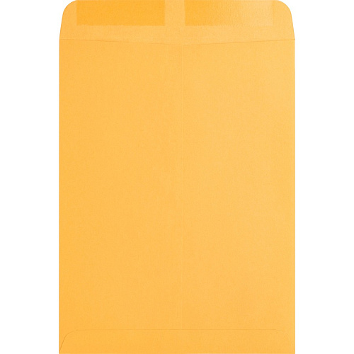 Business Source Kraft Gummed Catalog Envelopes Catalog - #10 1/2 - 9" Width x 12" Length - 28 lb - Gummed - Kraft - Kraft - 250 / Box (BSN42100)