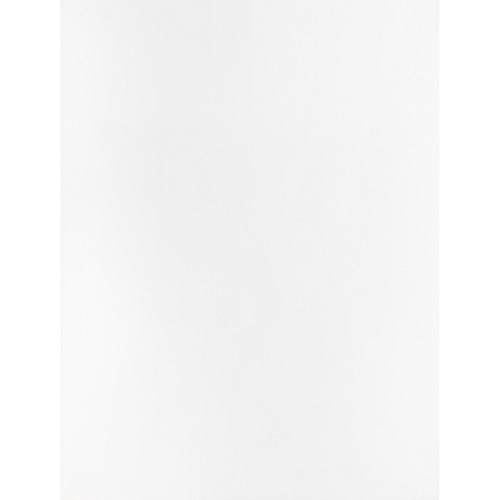 Business Source 28 lb. White Catalog Envelopes Catalog - #10 1/2 - 9" Width x 12" Length - 28 lb - Gummed - White - Wove - 250 / Box (BSN42102)