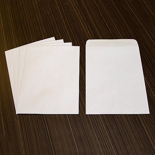 Business Source 28 lb. White Catalog Envelopes Catalog - #10 1/2 - 9" Width x 12" Length - 28 lb - Gummed - White - Wove - 250 / Box (BSN42102)