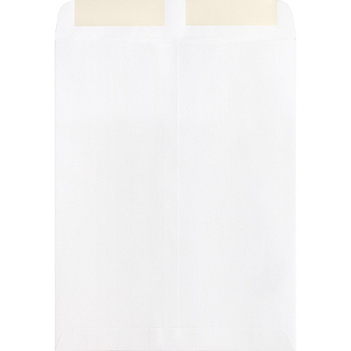 Business Source 28 lb. White Catalog Envelopes Catalog - #10 1/2 - 9" Width x 12" Length - 28 lb - Gummed - White - Wove - 250 / Box (BSN42102)