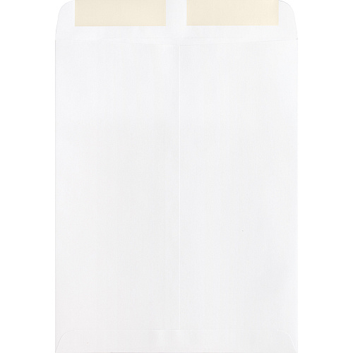 Business Source 28 lb. White Catalog Envelopes Catalog - #10 1/2 - 9" Width x 12" Length - 28 lb - Gummed - White - Wove - 250 / Box (BSN42102)