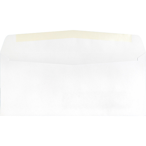 Business Source Economical No. 10 Window Envelope Single Window - #10 - 9 1/2" Width x 4 1/8" Length - 24 lb - White - 500 / Box (BSN42251)
