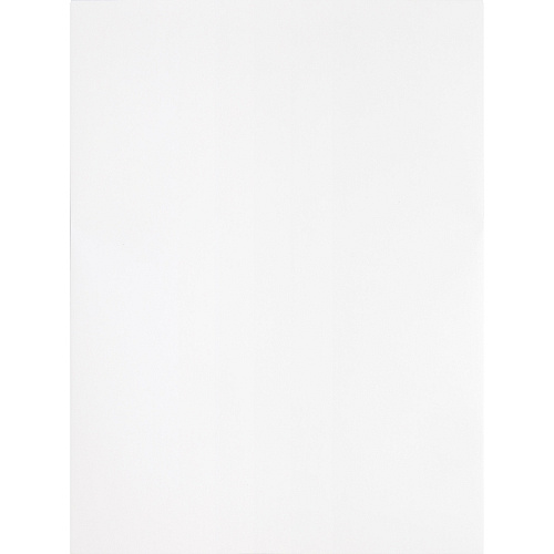Business Source Self Sealing Catalog Envelope Catalog - 9" Width x 12" Length - 28 lb - Peel & Seal - White - Wove - 100 / Box (BSN65450)