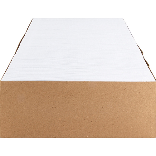 Business Source No. 9 Double Window Invoice Envelopes Double Window - #9 - 8 7/8" Width x 3 7/8" Length - 24 lb - Self-sealing - White - 500 / Box (BSN36681)