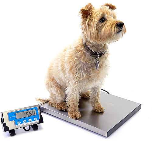Brecknell Portable Shipping Scale 400 lb / 181 kg Maximum Weight Capacity - White (LPS400)