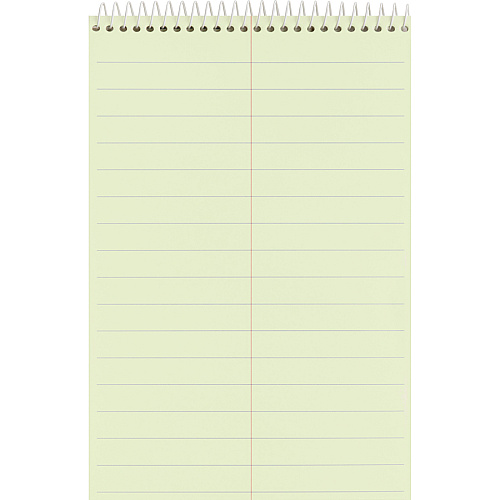 Business Source Steno Notebook 70 Sheets - Wire Bound - Pitman Ruled Margin - 6" x 9" Sheet Size - Green Paper - Stiff-back - 1 Each (BSN26742)