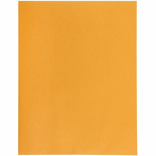 Quality Park 10 x 13 High Bulk Clasp Envelopes with Deeply Gummed Flaps Clasp - 10" Width x 13" Length - Gummed - Clear - Kraft - 100 / Box (37892)