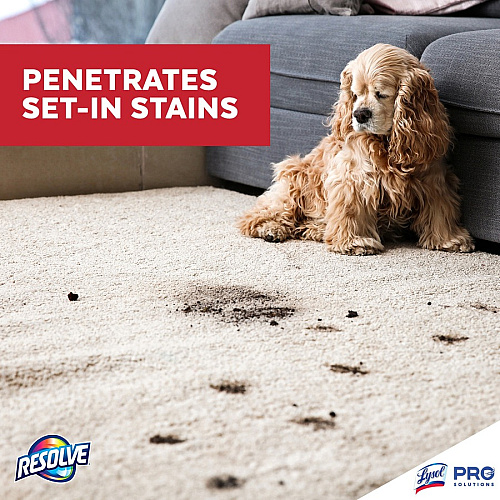 Professional RESOLVE&reg; Spot & Stain Carpet Cleaner 32 fl oz (1 quart) Bottle - 1 Each (97402)
