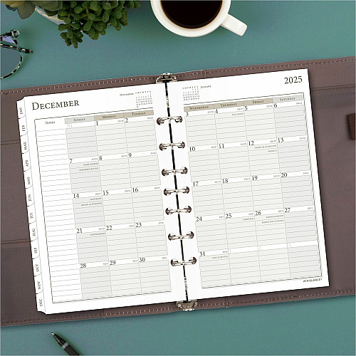 At-A-Glance Daily Planner One Page Per Day Refill, Loose-Leaf, Desk Size (481125)
