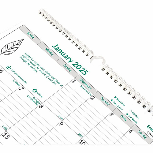 Brownline EcoLogix Monthly Wall Calendar, Twin-Wire Binding, 100% Recycled (C171103)