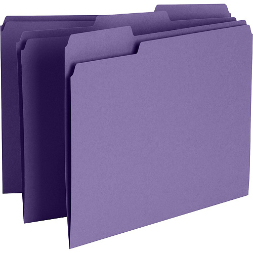 Business Source 1/3 Tab Cut Recycled Top Tab File Folder 11 pt. - Purple - 10% Recycled - 100 / Box (BSN44106)