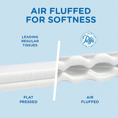 Puffs Basic Facial Tissue 1 Ply - 8.50" x 8.40" - White - 180 / Box (87611)