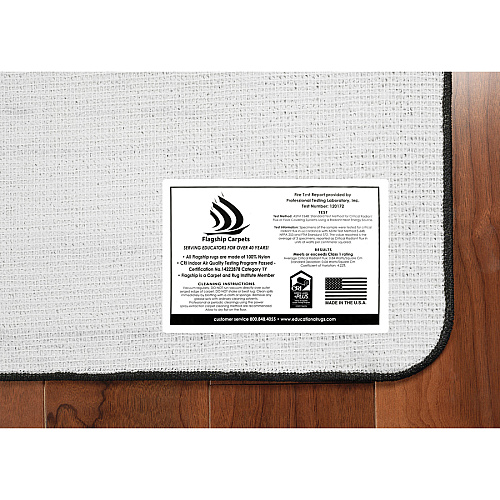 Flagship Carpets My America Doodle Map Rug 99.96" Length x 72" Width - Multicolor - Nylon - 1 Each (FE26232A)