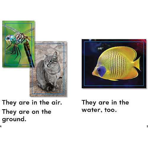 Shell Education Grade K Time for Kids Book Set 1 Printed Book Shell Educational Publishing Publication - Book - Grade K - 1 Set (24706)