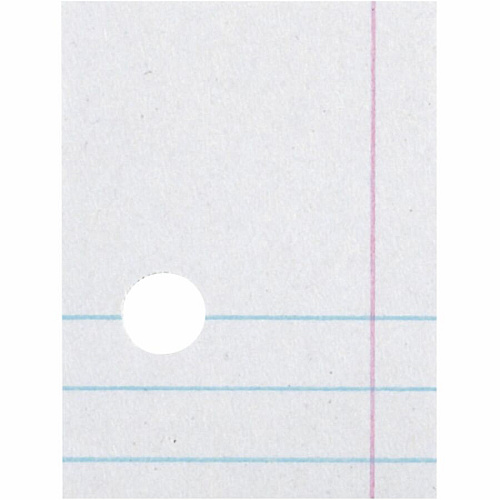 Decorol Recycled Filler Paper 500 Sheets - College Ruled Front Ruling - 0.28" Ruled - Red Margin - 3 Hole(s) - Letter - 8 1/2" x 11" Sheet Size - White Paper - Eco-friendly, Recyclable, Acid-free, Chlorine-free, Hole-punched - Recycled - 500 / Pack (2417)