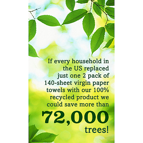 Seventh Generation 100% Recycled Paper Towels 2 Ply - 156 Sheets/Roll - White - Paper - 8 / Pack (13739)
