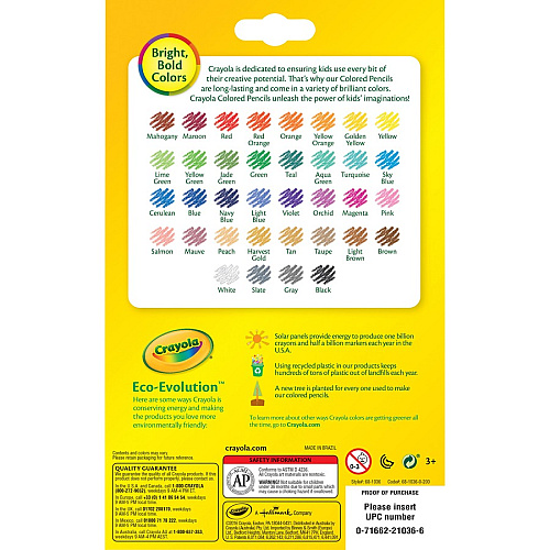 Crayola Erasable Colored Pencils 3.3 mm Assorted Lead - Thick Point - 36 / Pack (681036)
