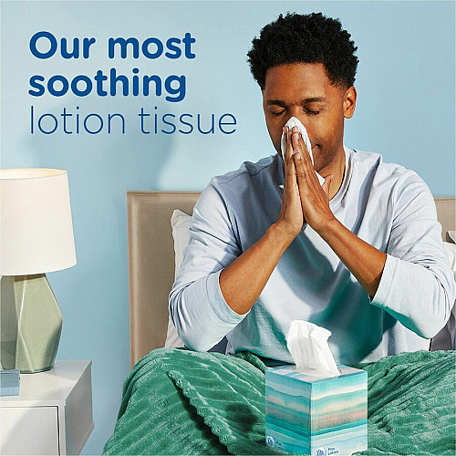 Puffs Plus Lotion Facial Tissues 2 Ply - WhiteBox - 56/Box - 4 / Pack (34899)