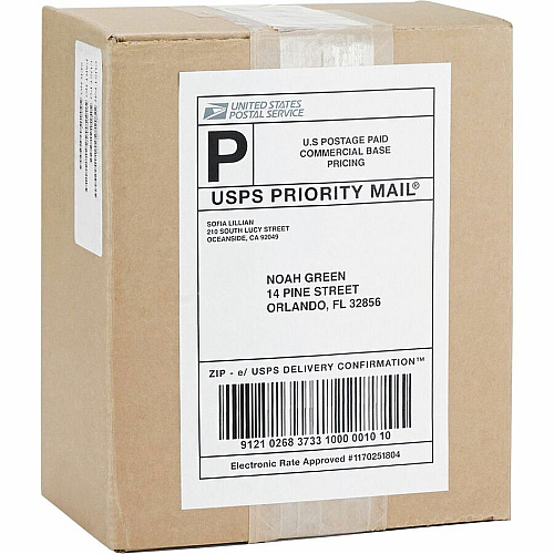 Business Source Bright White Premium-quality Internet Shipping Labels 5 1/2" Width x 8 1/2" Length - Permanent Adhesive - Rectangle - Laser, Inkjet - Bright White - 2 / Sheet - 250 Total Sheets - 500 / Box (BSN98107)