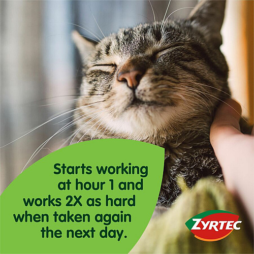 Zyrtec Allergy Tablets For Runny Nose, Sneezing, Itchy Throat - 30 / Card (20436)