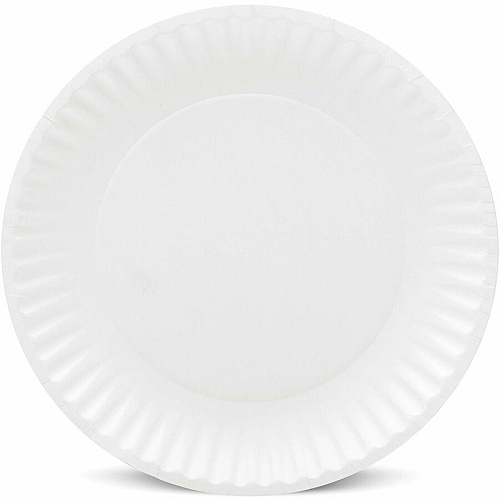 AJM 9" Dinnerware Paper Plates Serving - Disposable - Microwave Safe - 9" Diameter - White - Paper Body - 100 / Pack (CP9GOEWH)