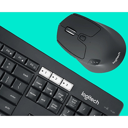 Logitech&reg; MK850 Performance Wireless Keyboard and Mouse Combo (920008219)