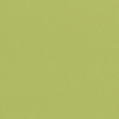 Eurotech dakota with Arms Apple Green Seat Color - Fabric, Vinyl Seat Material - Apple Green Back Color - Vinyl, Fabric Back Material - Four-legged Base - Dillon Apple Green - 2 / Carton (8011009)