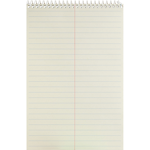 Business Source Steno Notebooks 60 Sheets - Coilock - Gregg Ruled Front Ruling - 6" x 9" Sheet Size - Green Tint Paper - Stiff-back, Sturdy - 12 / Pack (BSN90650PK)