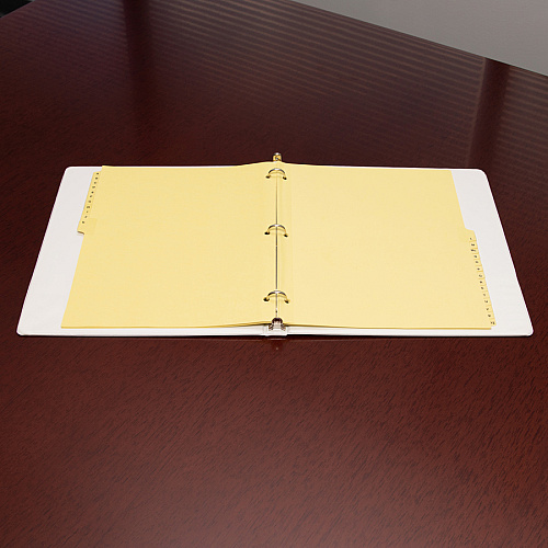 Business Source A-Z Clear Plastic Tab Index Dividers Printed Tab(s) - Character - A-Z - 25 Tab(s)/Set - 8.5" Divider Width x 11" Divider Length - Letter - 3 Hole Punched - Buff Divider - Buff Plastic Tab(s) - 25 / Set (BSN01806)